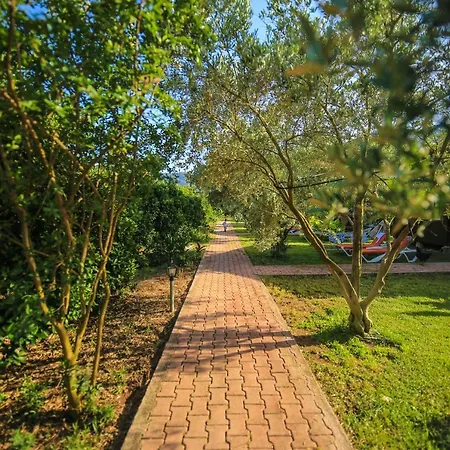 ホームステイ Zakkum Çıralı