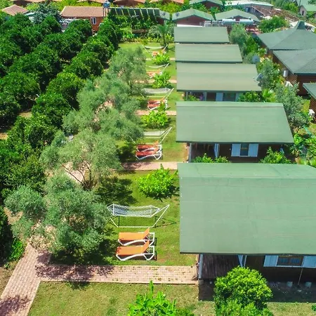 ホームステイ Zakkum *