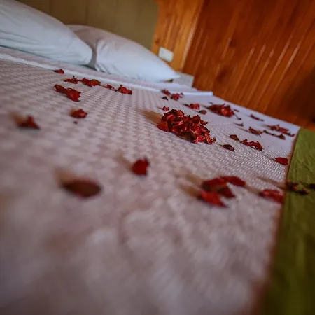 ホームステイ Zakkum *