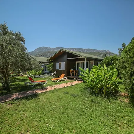 ホームステイ Zakkum Çıralı