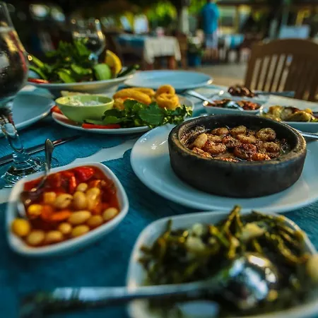 ホームステイ Zakkum Çıralı