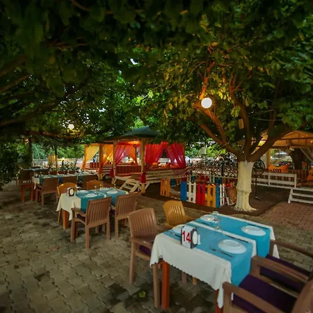 Zakkum ホームステイ