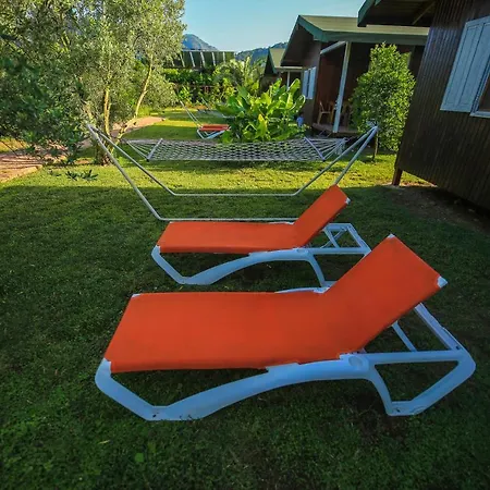 ホームステイ Zakkum Çıralı