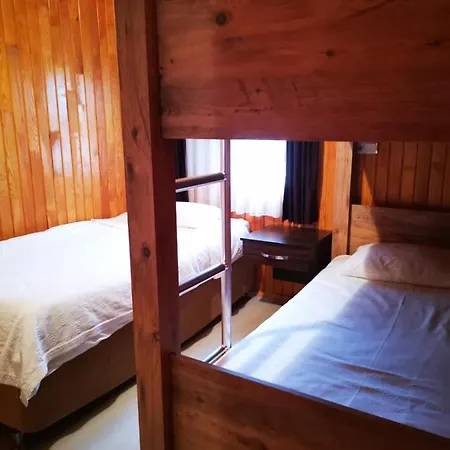 ホームステイ Zakkum Çıralı