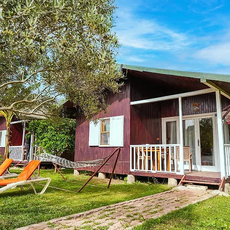 ホームステイ Zakkum *