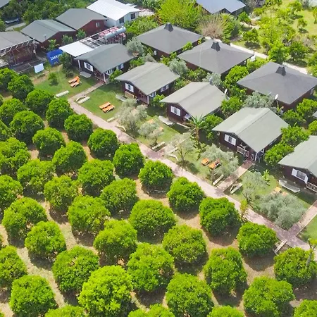 Zakkum ホームステイ Çıralı