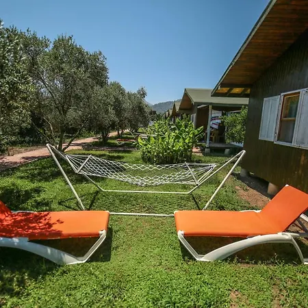 Δωμάτια σε οικογενειακή κατοικία Zakkum Çıralı