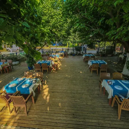 Kwatera prywatna Zakkum Çıralı